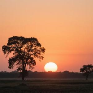 呓语 (Cover 毛不易)