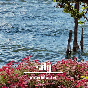 也许风会带我走