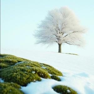 가을이 익어가네