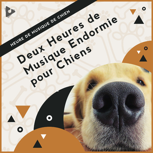 Meilleur instrumental pour chiots
