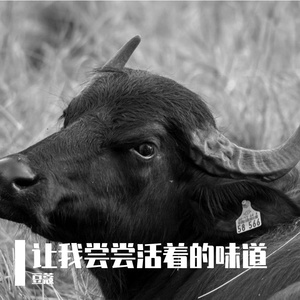 让我尝尝活着的味道