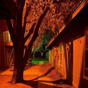 Quirky letterboxd reviews