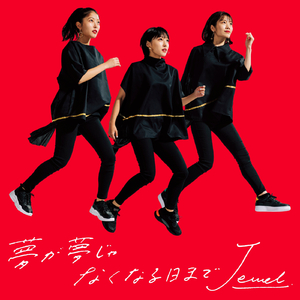 夢が夢じゃなくなる日まで