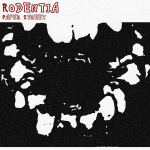 Rodentia
