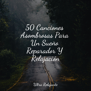 Hojas Que Caen Por El Arroyo