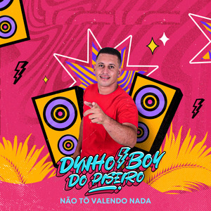 Não Tô Valendo Nada