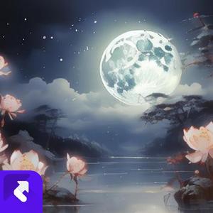 花开月圆 (现场)