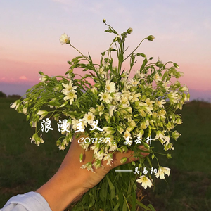 浪漫主义（Remix1.0片段）