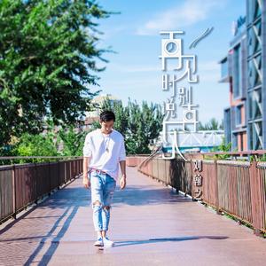 再见时别说再见