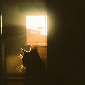 多渴望化成阵阵的小雨~