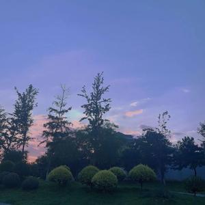 0705 (prod bbbluelee )