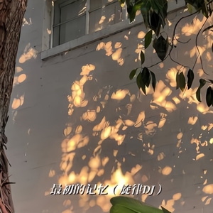 最初的记忆 (DJ版)