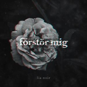 Förstör mig
