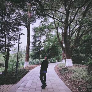 感官先生 （ye sir）