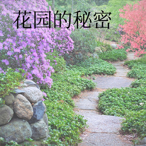 花园的秘密
