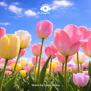 Where the Day Begins