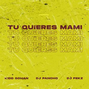 Tu Quieres Mami (feat. Dj Pancho & Dj Fekz)