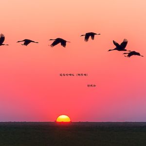 过往的回忆 (钢琴曲)