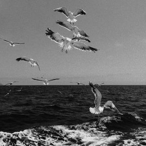 如果可以-张熙阳