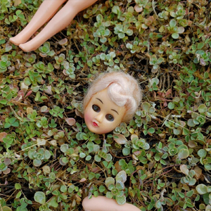 Once driven daily, now untraveled roads up the hill