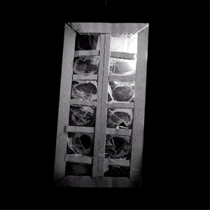 The Labyrinth of Nighted Silence