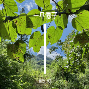 一个傻子啊（翻自 杨博然）