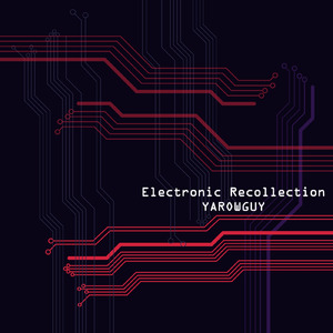 Electronic Recollection