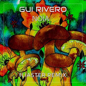 Noia (Iliaster Remix)