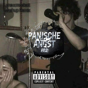 PA2 x Hass/Liebe (Mashup Remix)