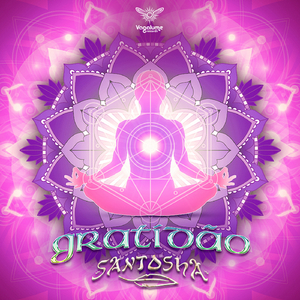 Gratidão (Original Mix)