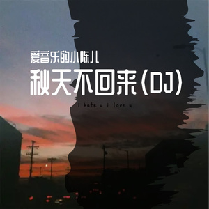 王强-秋天不回来 （ remix）