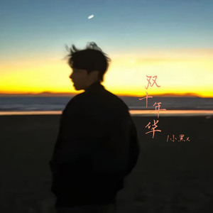 双十年华