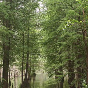 那年我们走散.wav