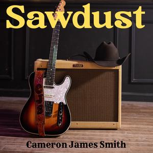 Sawdust