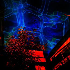 Lonely Nights (Make a Wish)