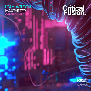 Maximize (Original Mix)