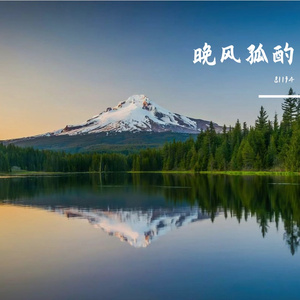 年华揽清宁