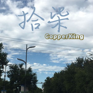 20块的烟花20秒就放没了