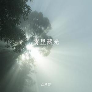 雾里藏光