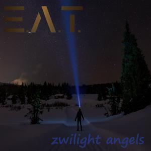 zwilight angels