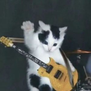KICK BACK