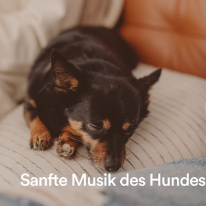 Unbekümmerter Hund