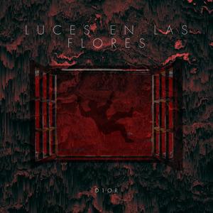 Luces en las flores