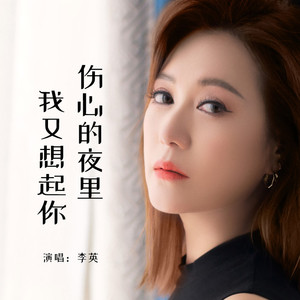 伤心的夜里我又想起你