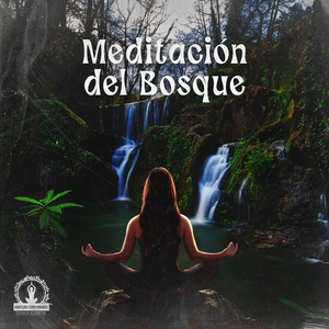 Desintoxicación Mental