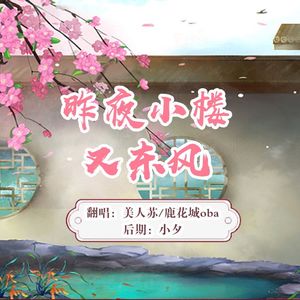 昨夜小楼又东风【男女绝美和声版】
