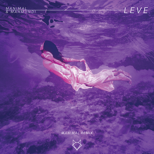 Leve (Manimal Remix)