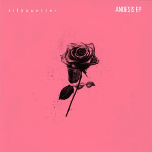 Anoesis