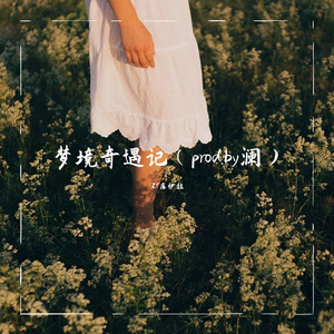 试图下架但失败了系列（prod.by澜）