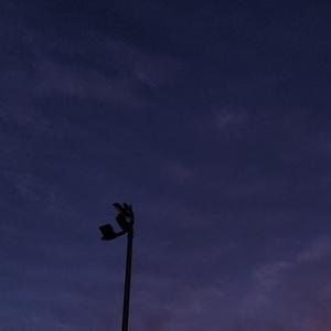 电子羊（cover：某幻君）